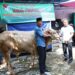 Menabur Kebaikan di Idul Adha,Kodim 0502/JU Menyembelih 21 Hewan Qurban