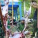 Idul Adha,Kodim 0503/JB Berbagi Untuk Masyarakat