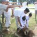 Wujud Rasa Syukur ,Kodim 0201/Medan Menyembelih Hewan Qurban,Warga dan Awak Media Ucapkan Terimakasih