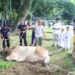 Wujud Rasa Syukur ,Kodim 0201/Medan Menyembelih Hewan Qurban,Warga dan Awak Media Ucapkan Terimakasih