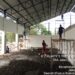 Memasuki Dua Bulan,Perkembangan Pembangunan KDKMP Marunda Capai 69 %