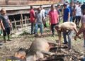 Babinsa Dampingi Warga Pemotongan Hewan Qurban Idul Adha di Susoh