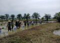 Ribuan Hektare Sawah Terdampak Banjir, Tanam Serempak Jadi Awal Kebangkitan