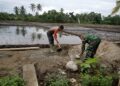 Babinsa Susoh Bantu Petani Semenisasi Talut Irigasi, Dukung Kelancaran Pengairan Sawah