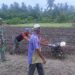 Babinsa Koramil 12/SRY Terus Bergerak Dukung Ketahanan Pangan di Wilayah Binaan
