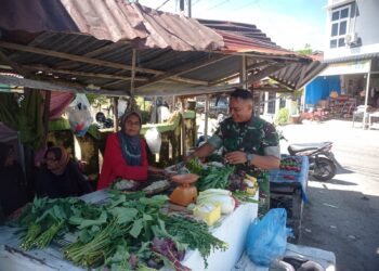 Ukur Stabilitas Produksi Pangan dan Ekonomi Warga, Babinsa Monitoring Harga Sayuran di Pasar Tradisional Susoh