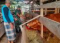 Dua Pekan Jelang Idul Adha, Babinsa Cek Kesehatan Sapi Warga Cegah PMK dan Cacingan