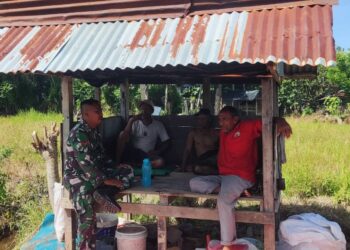 Dukung Ketahanan Pangan, Babinsa Belanja Masalah Petani di Gubuk Persawahan Desa