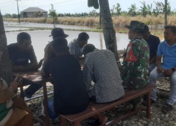 Babinsa dan PPL di Susoh Temu Sapa dengan Petani, Bahas Kendala Musim Tanam Padi
