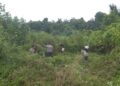Babinsa dan Warga di Susoh Gotong Royong Bersihkan Semak Belukar