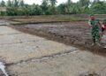 Dukung Swasembada Pangan Nasional, Babinsa Susoh Dampingi Petani Tinjau Penangkaran Benih Padi
