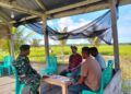 Dukung Ketahanan Pangan Nasional, Babinsa Ajak PPL dan Penyuluh Satukan Langkah