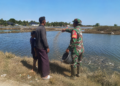 Babinsa Koramil 09/Nurussalam Sambangi Peternak Ikan Bandeng, Dukung Ketahanan Pangan Desa