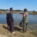 Babinsa Koramil 09/Nurussalam Sambangi Peternak Ikan Bandeng, Dukung Ketahanan Pangan Desa