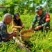 Pendampingan Babinsa Saat Panen Cabai Rawit Percepat Pekerjaan dan Tingkatkan Semangat Petani