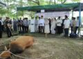 Usai Sholat Idul Adha, Dandim 0208/Asahan Saksikan Pemotongan Hewan Qurban di Makodim
