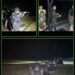 Prajurit Resimen Arhanud 3 Pasgat Asah Kemampuan Melalui Latihan Tembak Tempur Malam