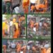Grebek Sampah ,Satgas Kodim 0502/JU Wujudkan Lingkungan ASRI di Wilayah Koramil 02/Penjaringan
