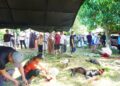 Dandim 0308/Padang Pariaman Tinjau Pemotongan Hewan Qurban di Asrama Kodim