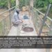 Sebentar Lagi Kepak Sayap Garuda Membentang Sungai Kali Cidurian