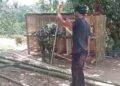Ketahanan Pangan Dimulai dari Pekarangan Rumah, Babinsa Dampingi Warga Bangun Kandang Ayam