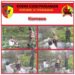 Babinsa Koramil 01/Pariaman Komsos Dengan Warga Masyarakat Binaan