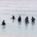 Jaga Ekosistem Laut, 40 Peserta Ikuti Pelatihan Penanaman Terumbu Karang di Pantai Jikumerasa