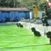 Serentak di Sulut dan Gorontalo, Prajurit Kodam XIII/Merdeka Adu Kecepatan dalam Lomba Renang HUT ke-68