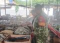 Babinsa Koramil 14/Panongan Pantau Harga Sembako di Pasar Tradisional , Pastikan Stabilitas Ekonomi Warga