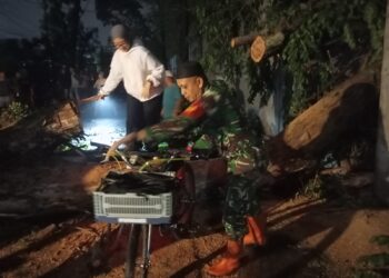 BABINSA KORAMIL 0201-05/MB SIGAP MONITOR DAN BANTU EVAKUASI POHON TUMBANG DI MEDAN POLONIA