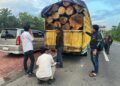 Satgas Intelstrat BAIS TNI Bersama Denintel Kodam I/BB Amankan Dua Truk Bermuatan Kayu Gelondongan Ilegal
