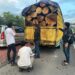 Satgas Intelstrat BAIS TNI Bersama Denintel Kodam I/BB Amankan Dua Truk Bermuatan Kayu Gelondongan Ilegal