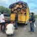 Tim Intelijen TNI Amankan Dua Truk Bermuatan Kayu Gelondongan Ilegal ,BB Diserahkan ke Polisi,Bukti Nyata di Sumut Masih Ada Pembalakan Liar