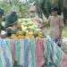 Dari Lahan hingga Pasar, Babinsa Koramil 02/TL Dampingi Petani Semangka