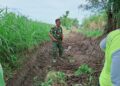 Babinsa Karang Gondang Bersama Warga Gotong Royong Bersihkan Jalan Akses Lahan Pertanian