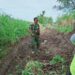 Babinsa Karang Gondang Bersama Warga Gotong Royong Bersihkan Jalan Akses Lahan Pertanian