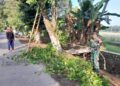 Wujud Kemanunggalan TNI, Babinsa Ngoran Pelopori Gotong Royong Bersihkan Jalan Desa