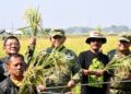 Dorong Inovasi Pertanian, Danrem Tinjau Uji Coba Varietas Padi Baru di Ngawi