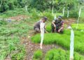 Koramil 01/AK Dampingi Program Hampang, Dorong Kemandirian Pangan dan Kesejahteraan Warga