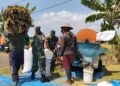 Tak Hanya Mengawal, Babinsa Sukodono Ikut Memanen Harapan Petani
