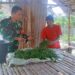 Panen Perdana Membanggakan, Babinsa Apresiasi Kerja Keras Petani Cabai
