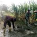 Perkuat Ketahanan Pangan Desa, Babinsa Madat Bantu Pembangunan Irigasi Sawah