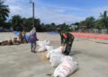 Demi Hasil Maksimal, Babinsa Dampingi Petani dari Sawah hingga Pascapanen