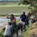 Dukung Ketahanan Pangan Nasional, Babinsa Bersama Petani di Babahrot Bersihkan Saluran Irigasi Sawah