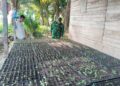 “Dari Bibit Menuju Panen Berkualitas, Babinsa Hadir Dampingi Petani Melon di Sungai Raya”