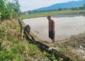 Agendakan Gotong Royong Massal, Babinsa dan Ketua Poktan di Susoh Tinjau Sasaran Kanal Sawah