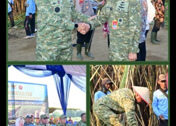 Panglima Korpasgat Ikuti Panen Raya Tebu di Lanud Pangeran M. Bun Yamin