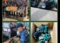 Berhasil Gagalkan Penyelundupan di KM Nggapulu, Pam Pelni Kodaeral IX Amankan Kepiting Kenari dan Miras