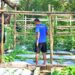Tak Hanya Unggul Dalam Berlatih Dan Bertempur, Prajurit Buaya Petarung Sukses Rawat Ketahanan Pangan Kompi