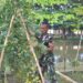 Tak Hanya Unggul Dalam Berlatih Dan Bertempur, Prajurit Buaya Petarung Sukses Rawat Ketahanan Pangan Kompi